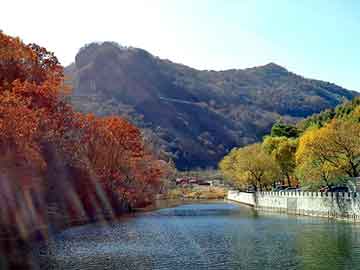 新澳天天开奖资料大全旅游团，铁粉烘干机